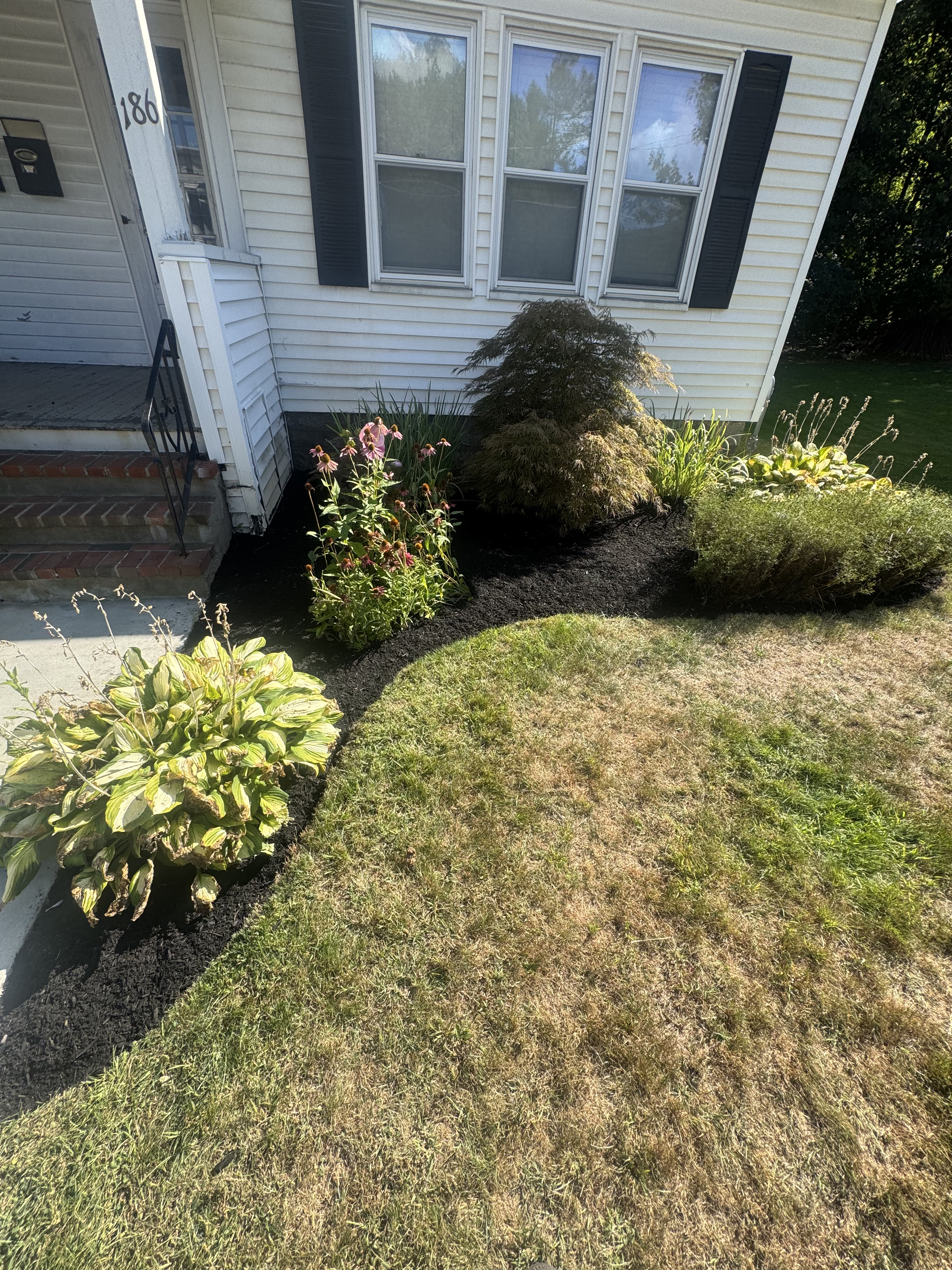 Landscaping project