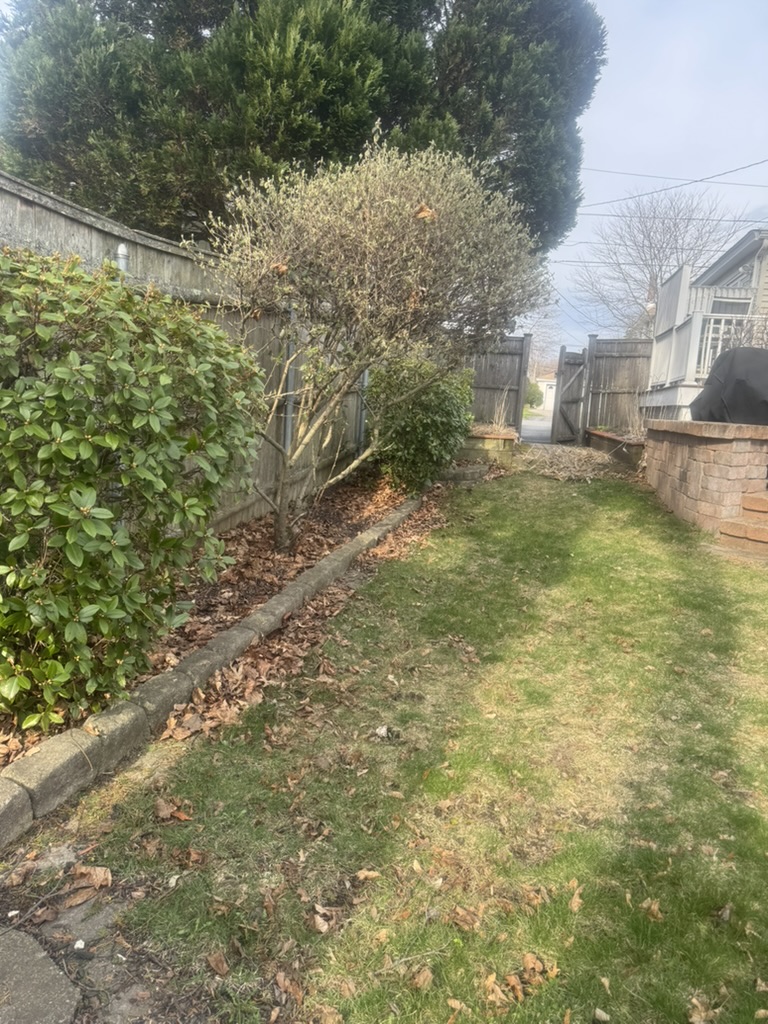 Before: Overgrown bed with leaves and debris