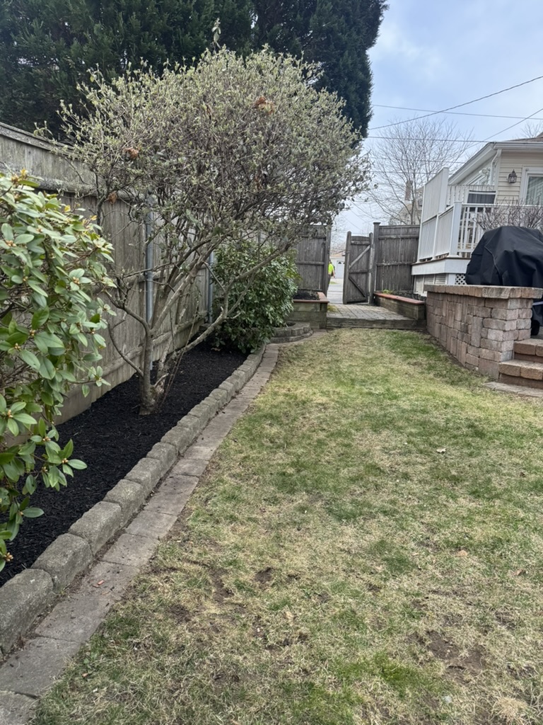 After: Fresh mulch with clean stone edging