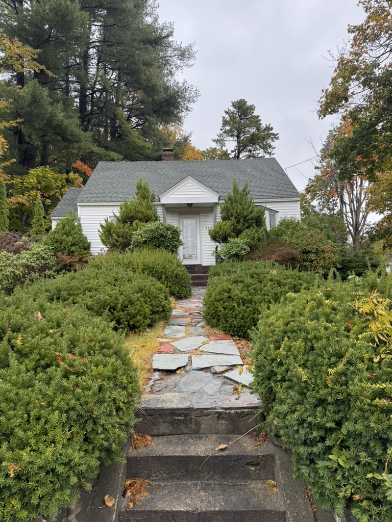 Before: Overgrown hedges