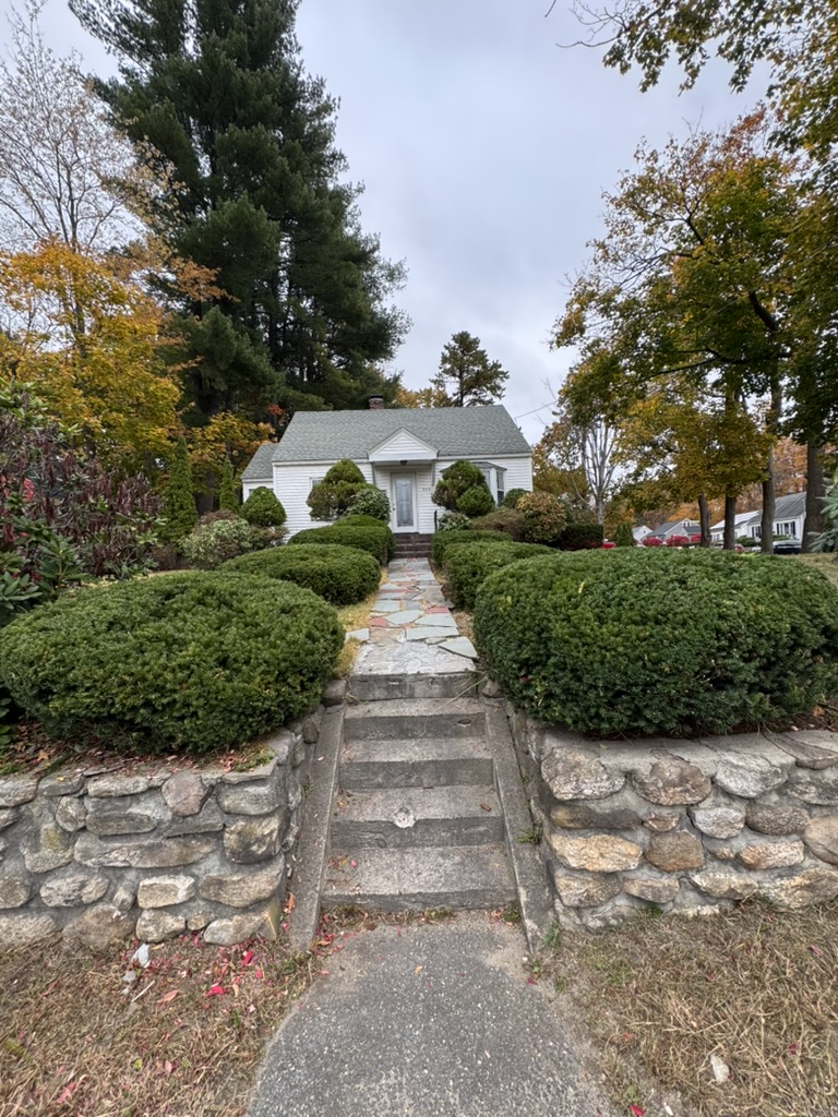 Beautifully landscaped front yard with trimmed hedges
