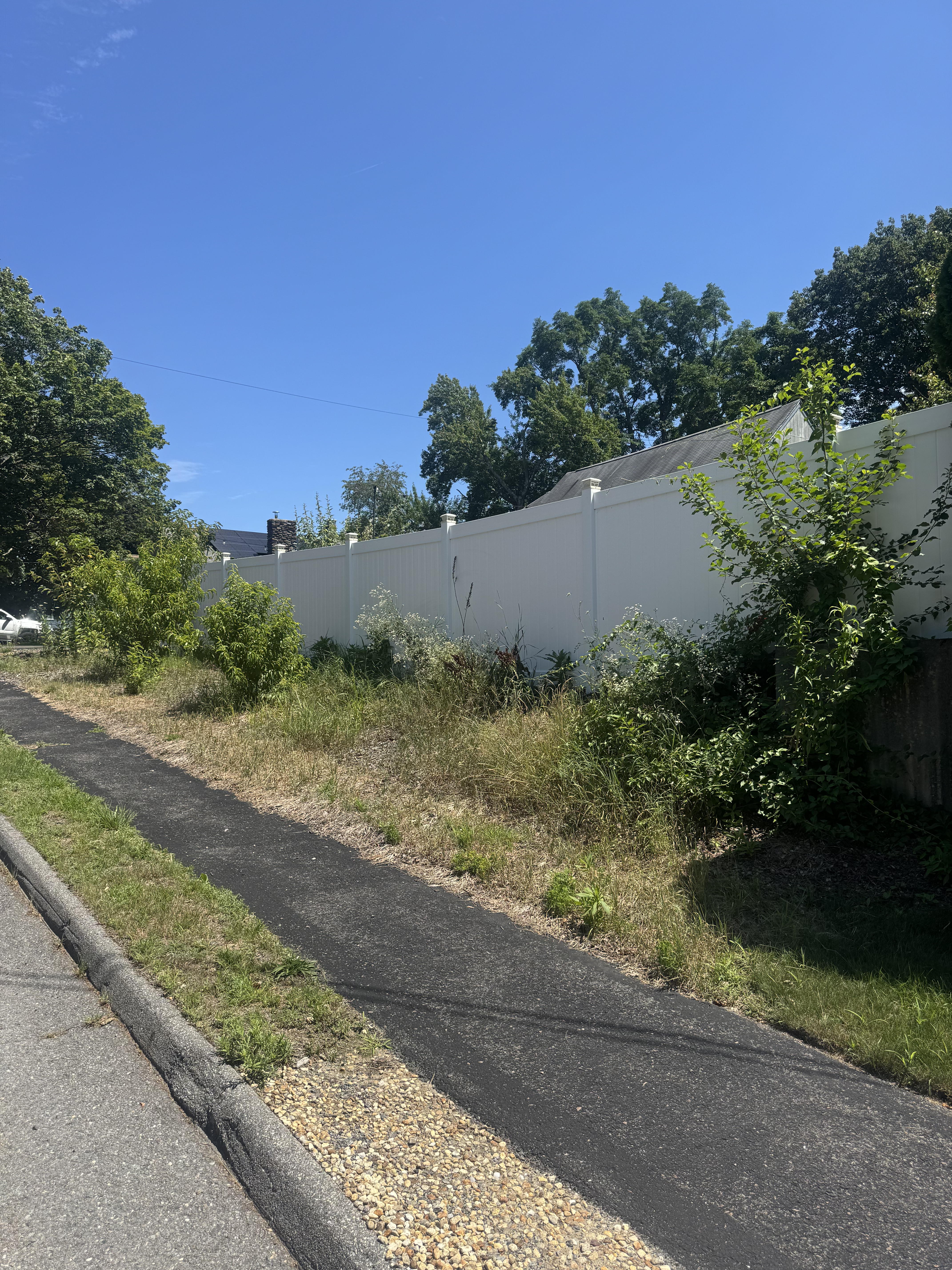Before: Overgrown sidewalk edges